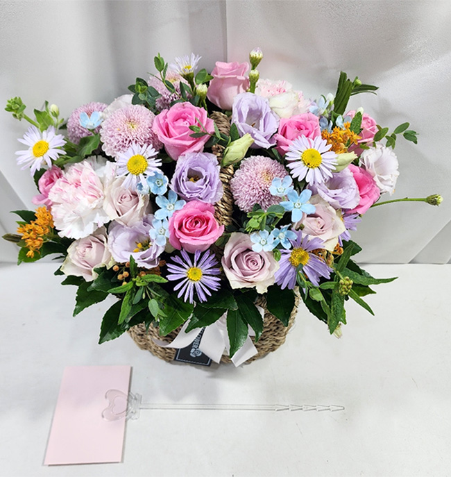 ST-A2026