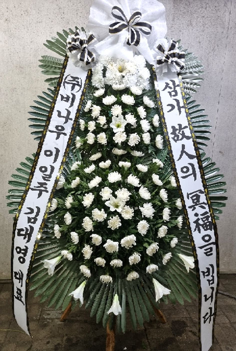 ST-FB226
