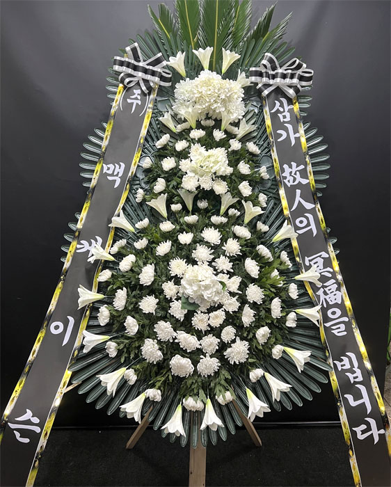 ST-FB252