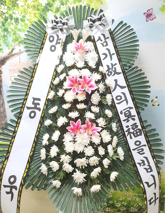 ST-FB141