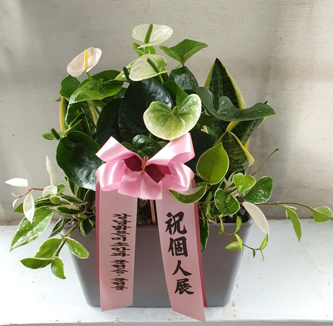 ST-D417