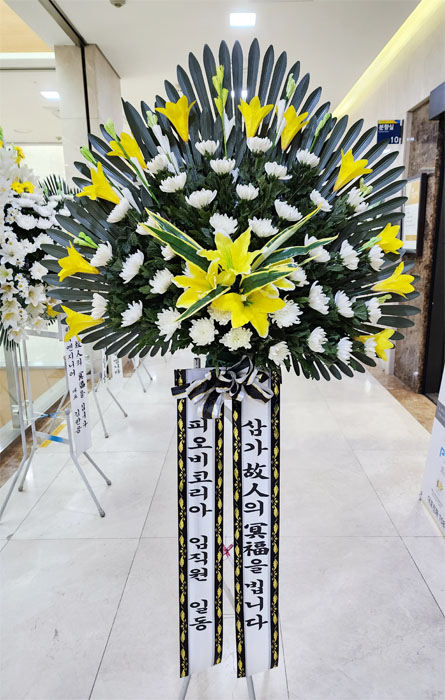 ST-FB260