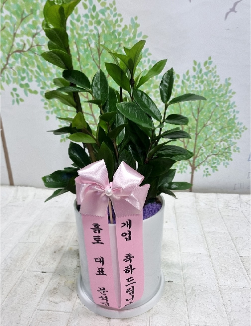 ST-D682