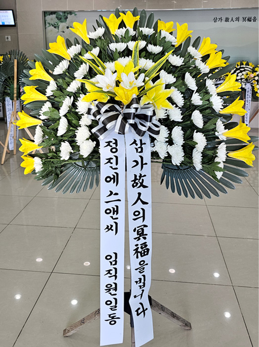 ST-FB226