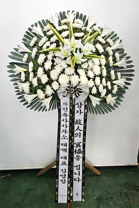 ST-FB233