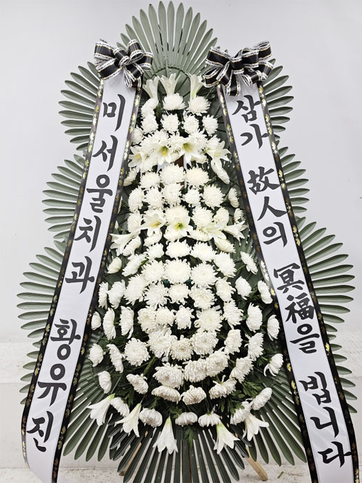 ST-FB233
