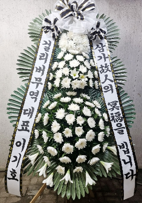 ST-FB226