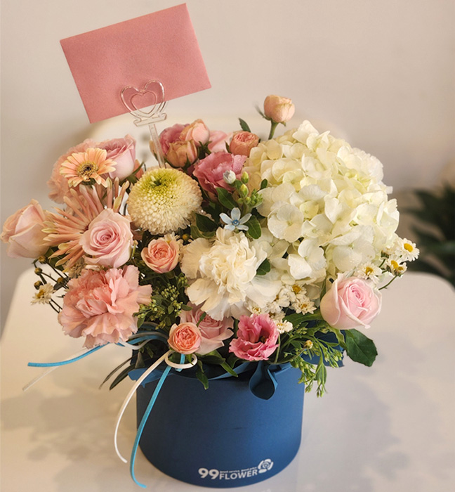 ST-B328