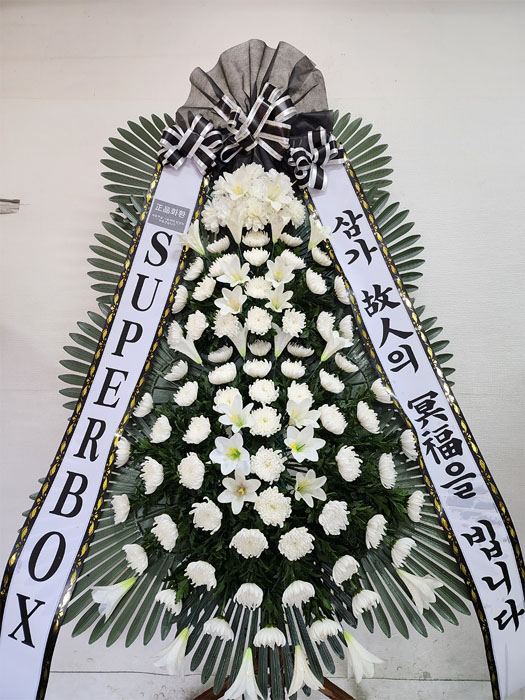 ST-FB233