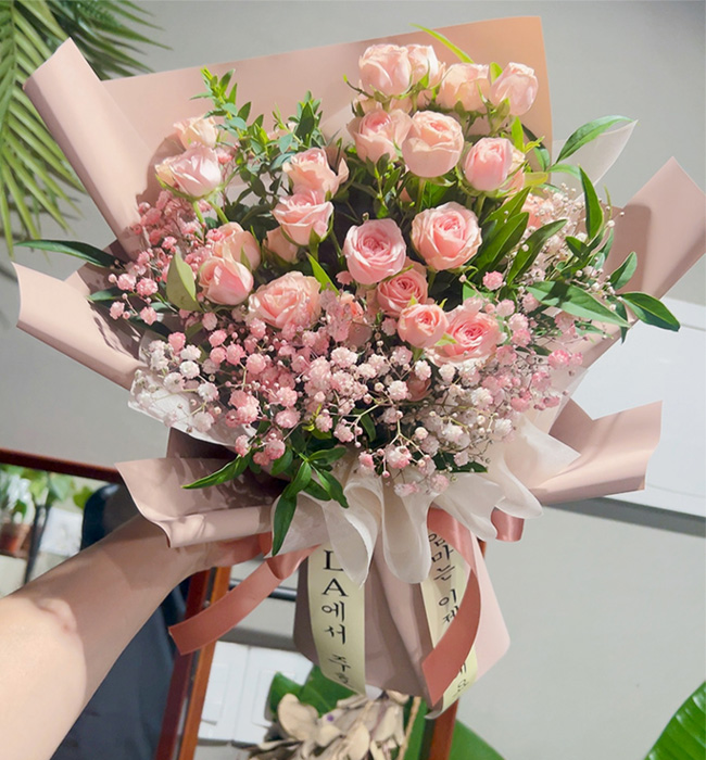 ST-C629
