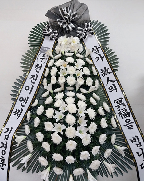 ST-FB233