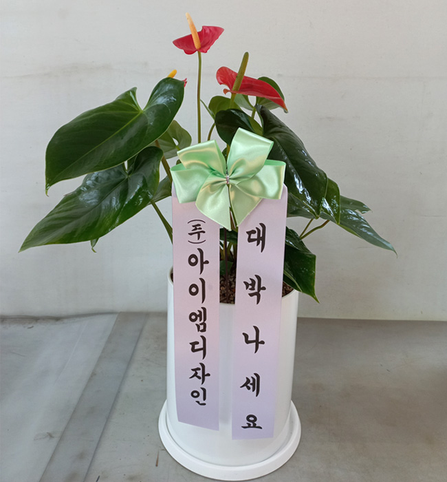 ST-D720