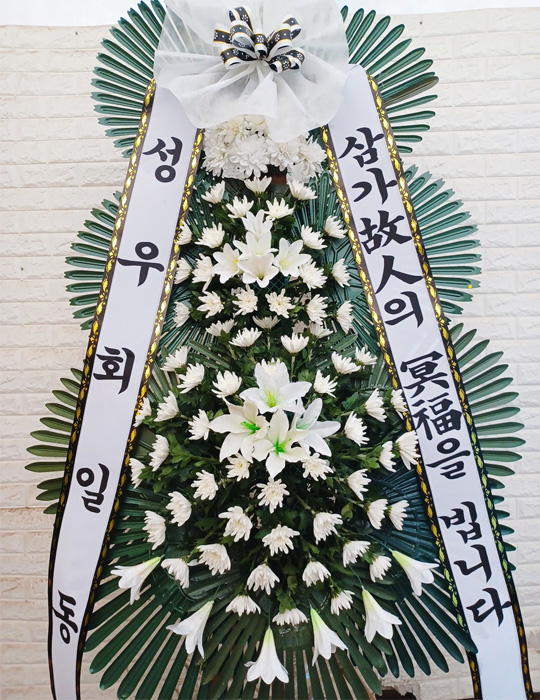 ST-FB226