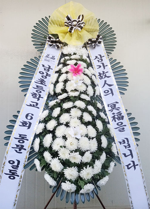 ST-FB141