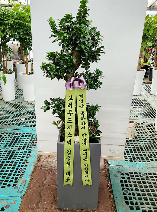 ST-D337
