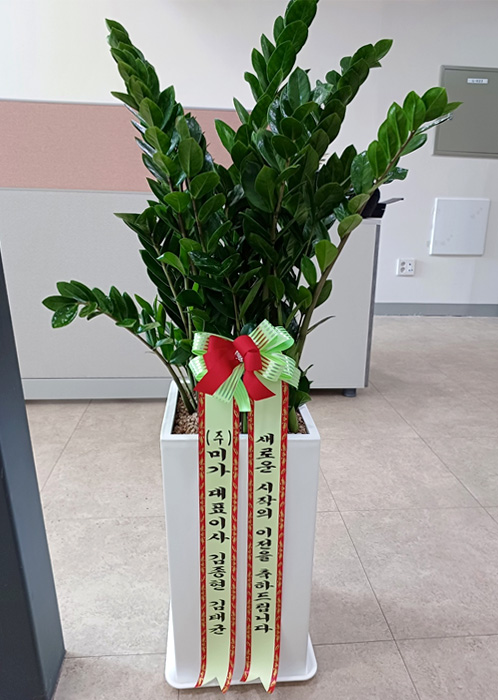 ST-D569