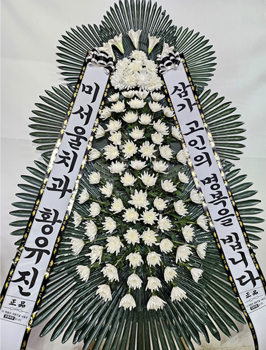ST-FB233