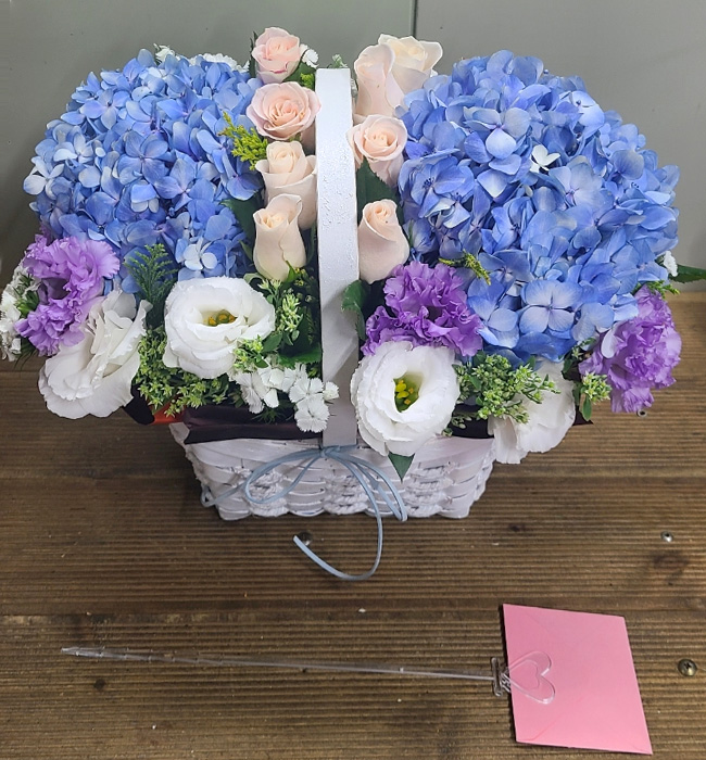 ST-A1661