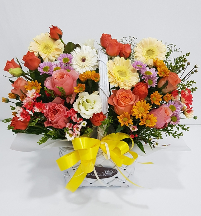 ST-A2029