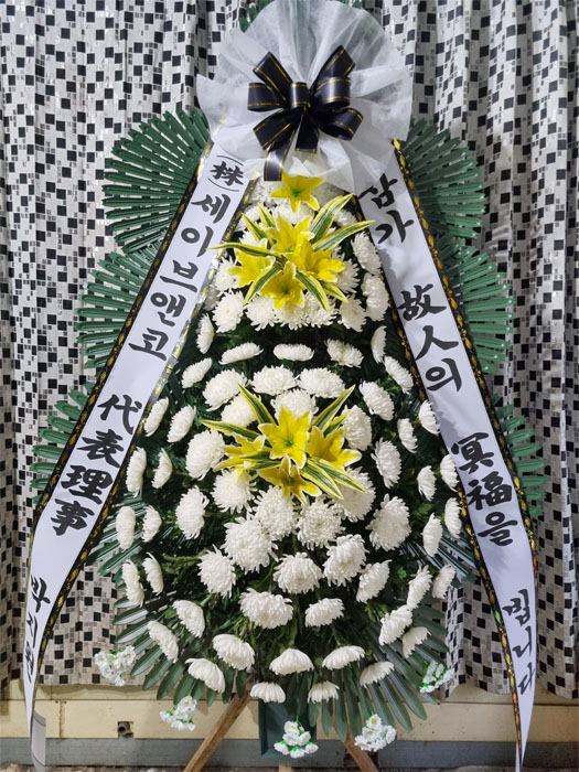 ST-FB141