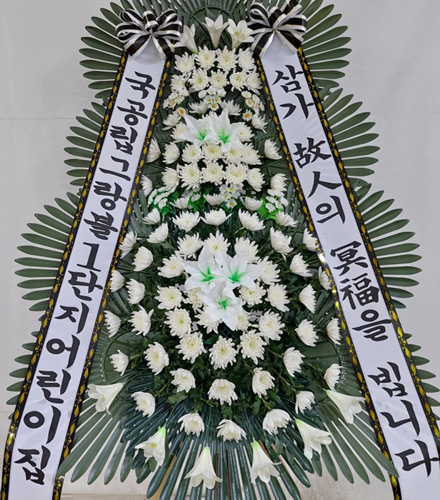 ST-FB233