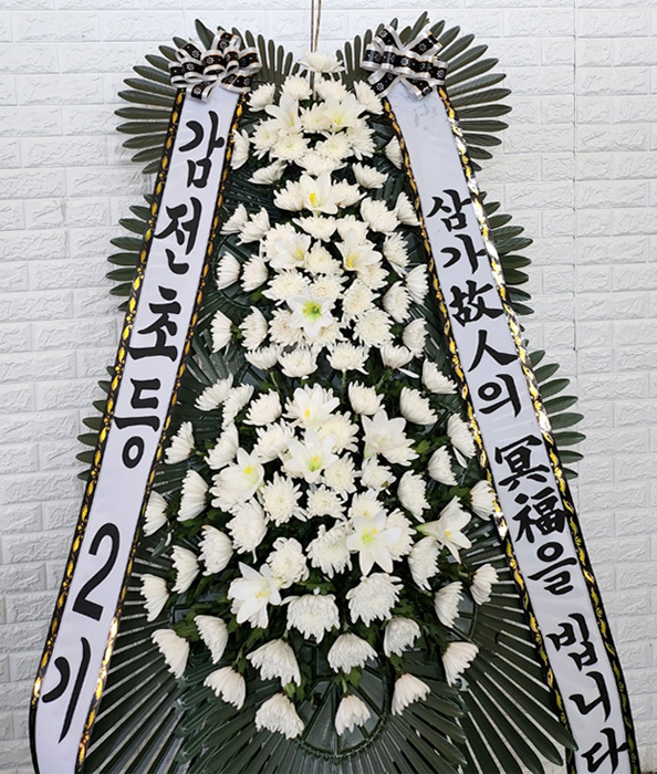 ST-FB226