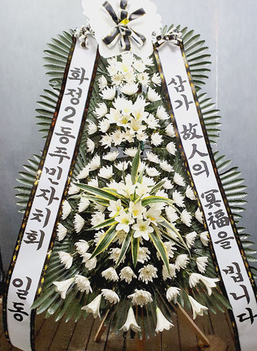ST-FB226