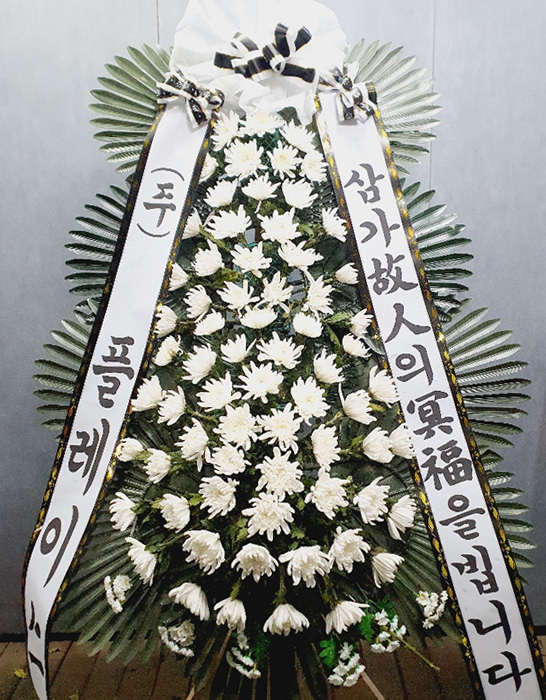 ST-FB233
