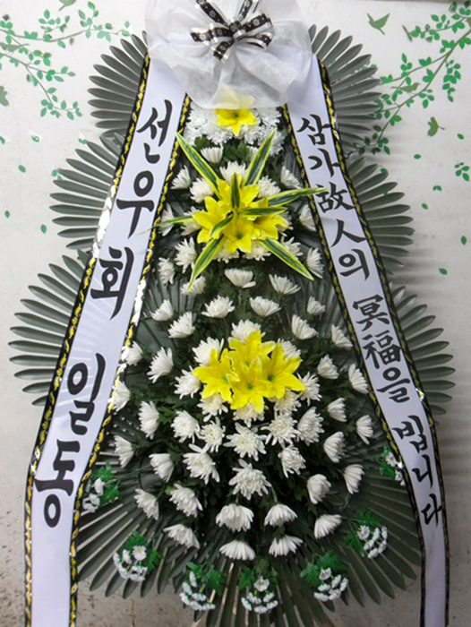 ST-FB226