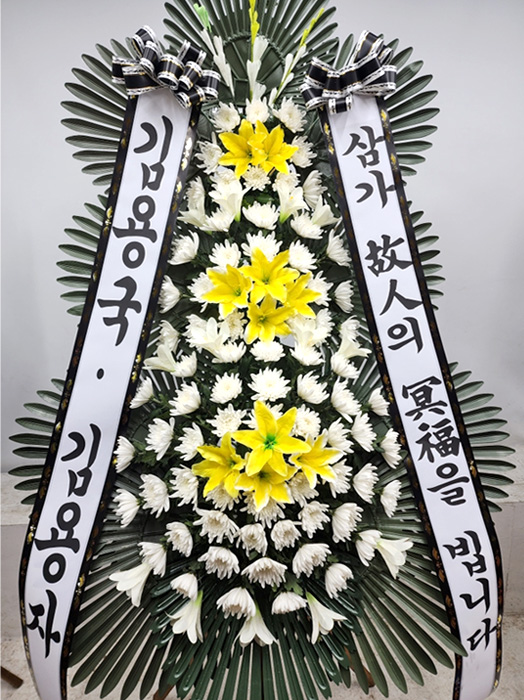 ST-FB154