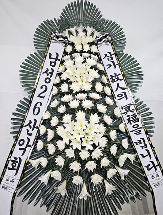 ST-FB226