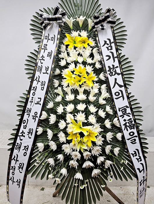 ST-FB154