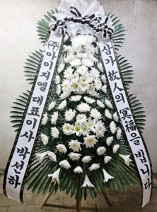 ST-FB226