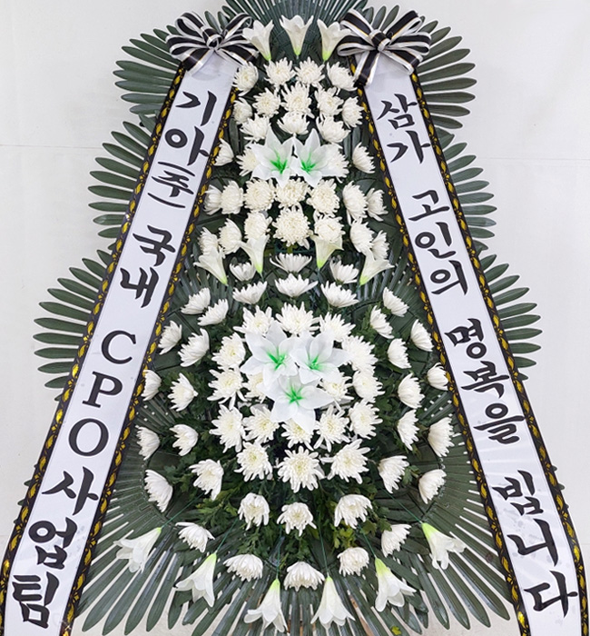 ST-FB233