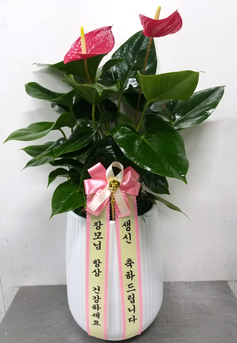 ST-D720