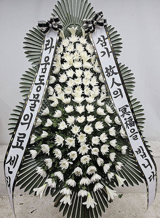 ST-FB162