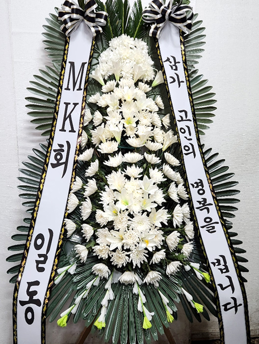 ST-FB233
