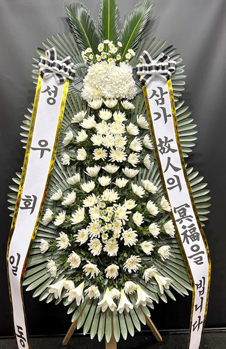 ST-FB226