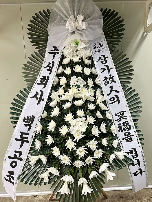 ST-FB251