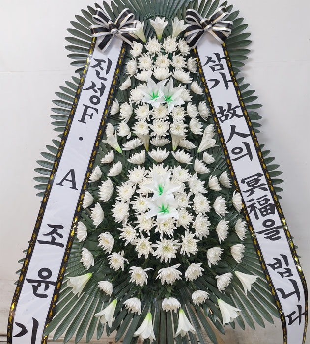 ST-FB233
