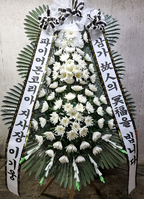 ST-FB226