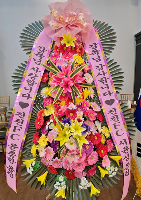 ST-FA064