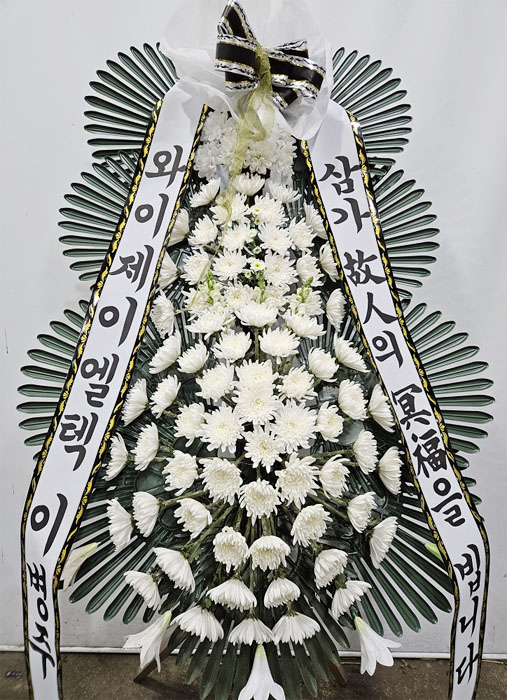 ST-FB233