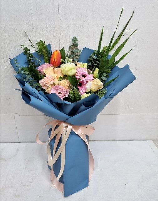 ST-C615
