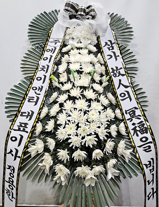 ST-FB233