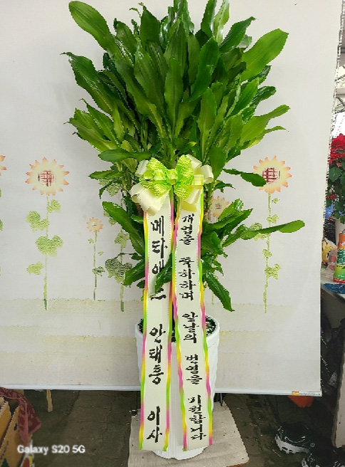 ST-D706