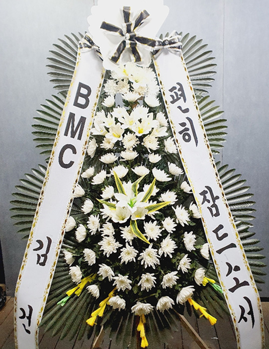 ST-FB226