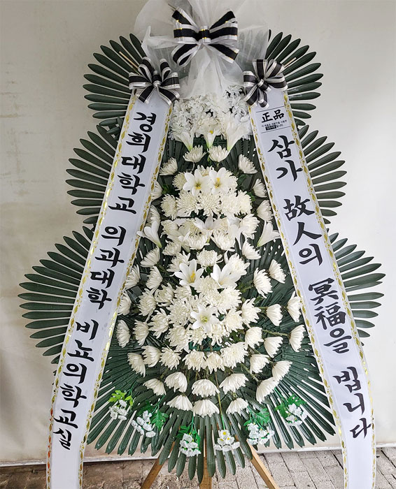 ST-FB226