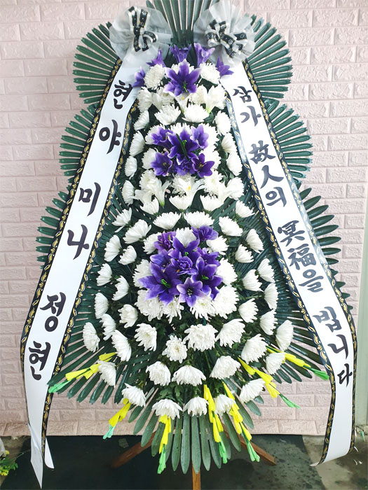 ST-FB142