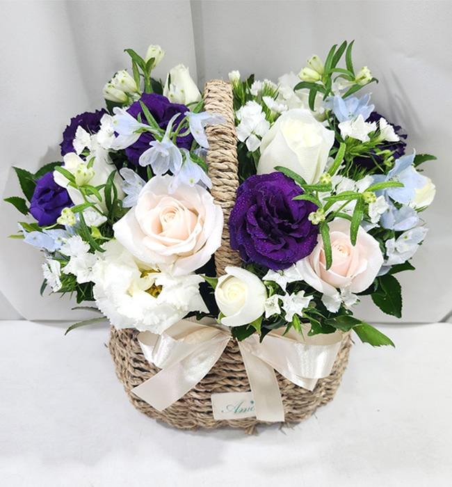 ST-A2023